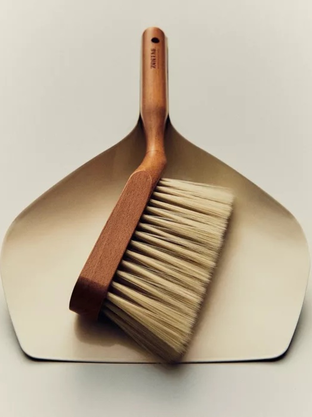 Zara Home Dustpan and Brush Set